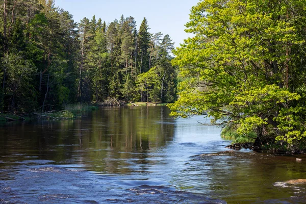 Flod på våren — Stockfoto