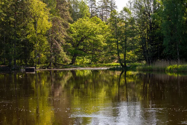 Flod på våren — Stockfoto