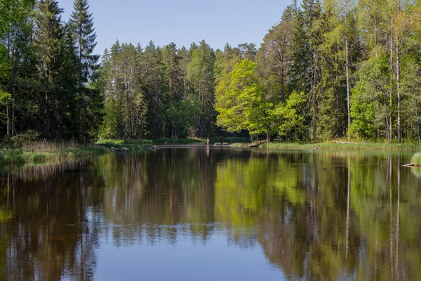 Řeka na jaře — Stock fotografie