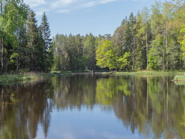 Fiume in primavera — Foto Stock