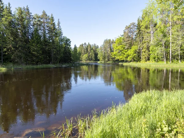 Fluss im Frühling — Stockfoto