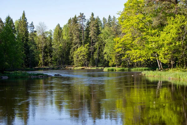 Fiume in primavera — Foto Stock