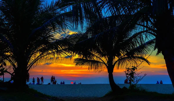 Increíble Puesta Sol Playa Tropical — Foto de Stock