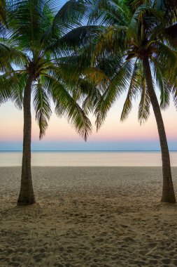 Gün batımında güzel tropikal plaj yaz Resort
