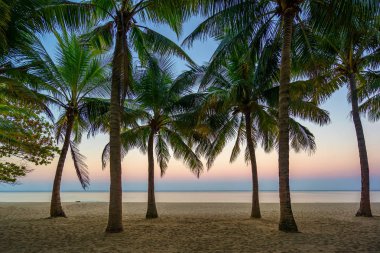 Gün batımında güzel tropikal plaj yaz Resort