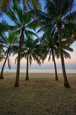 Gün batımında güzel tropikal plaj yaz Resort