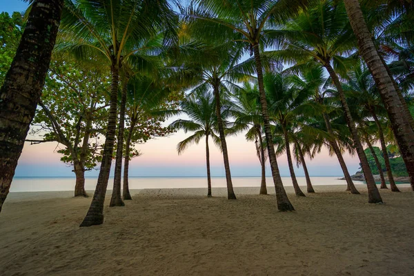 夏のリゾート地で夕暮れ時の美しい熱帯のビーチ — ストック写真