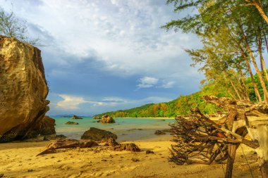 Güzel tropikal beach Resort