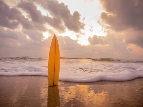 Tabla Surf Playa Orilla Del Mar Atardecer Con Hermosa Luz —  Fotos de Stock