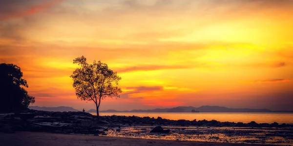 Gün Batımı Krabi Klong Muang Kumsalda — Stok fotoğraf