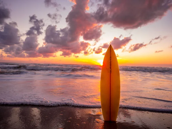 Surfboard Beach Sea Shore Sunset Time Beautiful Light Water Sport