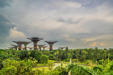 Singapur - 21 Nisan 2018: Singapur gece manzarası Gardens Bay tarafından. Supertree Grove Singapur mavi gökyüzü altında. Singapur Cityscape ve şehir manzarası.