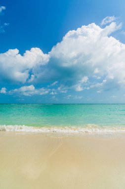 Plaj ve tropikal deniz. Koh Samui, Tayland