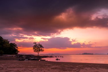 Gün batımı Krabi il Klong Muang kumsalda