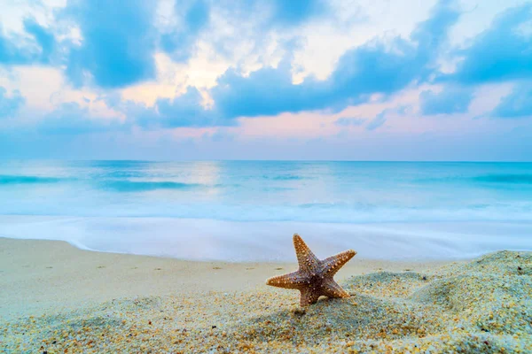 Starfish Sea Shore Beach White Sand Blue Water — Stock Photo, Image