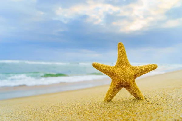 Starfish Tropical Beach — Stock Photo, Image
