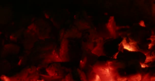 Legna Bruciata Nel Camino — Video Stock
