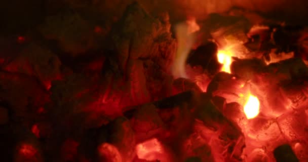 Wood Burning Fireplace — Stock Video