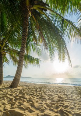Deniz gündoğumu Koh Samui Adası, Tayland.