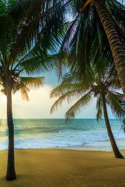 Deniz gündoğumu Koh Samui Adası, Tayland.