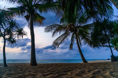 Deniz gündoğumu Koh Samui Adası, Tayland.