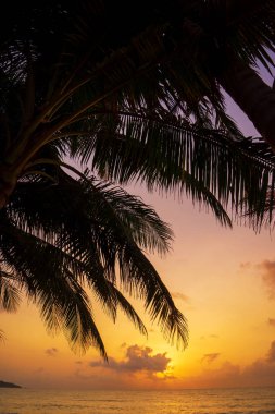 Deniz gündoğumu Koh Samui Adası, Tayland.