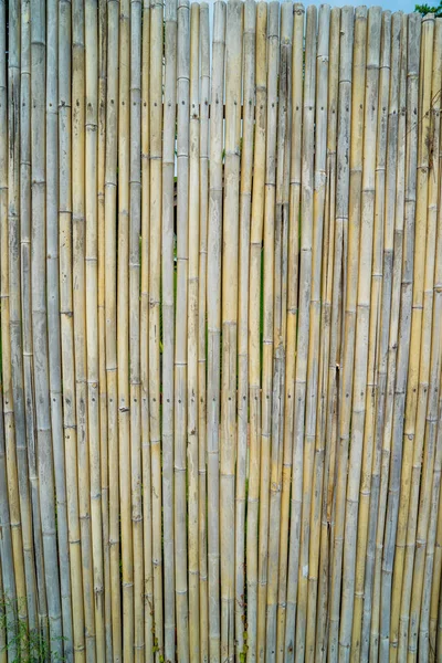 Een Bamboe Hek Achtergrond — Stockfoto