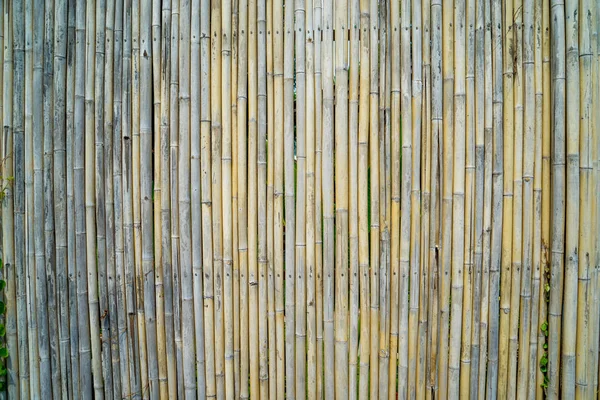 Bamboo Fence Background — Stock Photo, Image