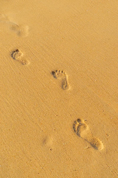 Beach Resa Kvinna Avkopplande Promenader Sandstrand Lämnar Fotspår Sanden Närbild — Stockfoto