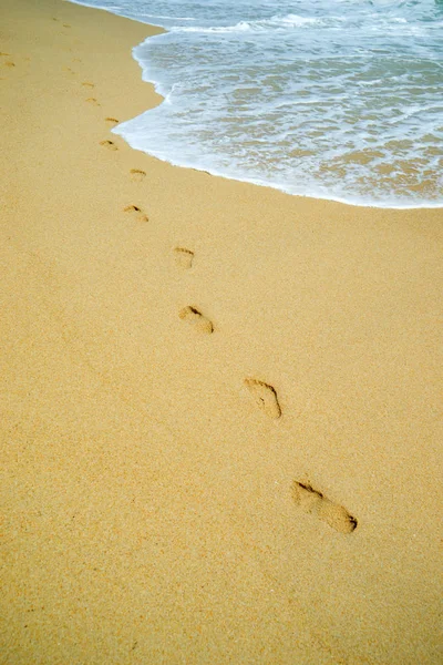 Beach Resa Kvinna Avkopplande Promenader Sandstrand Lämnar Fotspår Sanden Närbild — Stockfoto