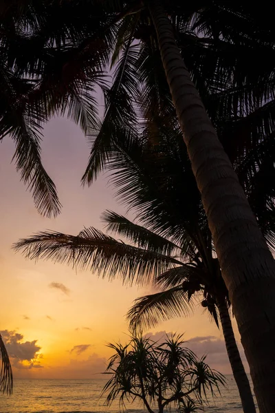 Sonnenaufgang Meer Auf Der Insel Koh Samui Thailand — Stockfoto