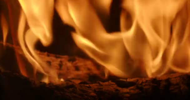 Wood Burning Fire Place — Stock Video
