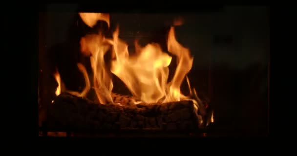 木头燃烧火地方 — 图库视频影像