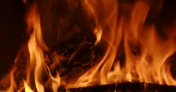 Dřeva Hořícího Krbu — Stock video