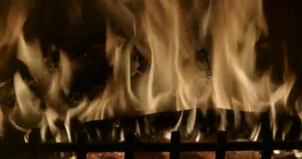 Égő Tűz Hely — Stock videók