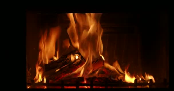 Ξύλινοι Καίγοντας Τζάκι — Αρχείο Βίντεο