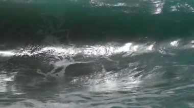 Lefkas iyon Adası