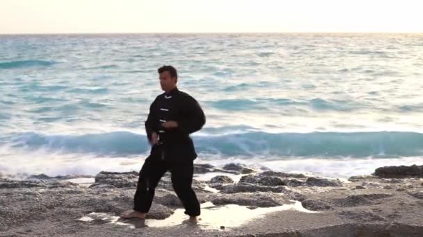 Tai Chi Μάστερ Στην Παραλία — Αρχείο Βίντεο