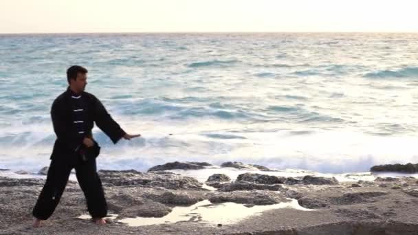 Maestro Tai Chi Spiaggia — Video Stock