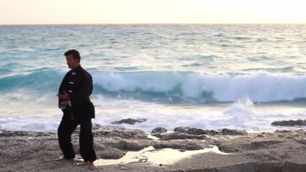 Mestre Tai Chi Praia — Vídeo de Stock