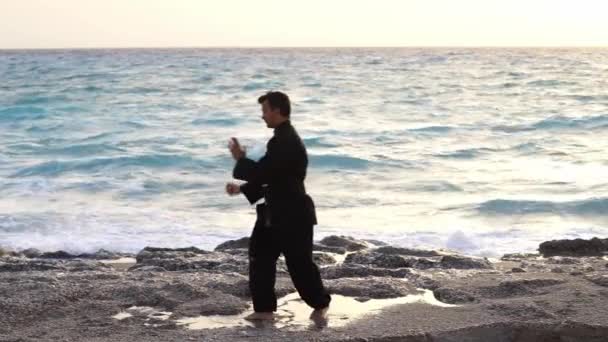 Tai Chi Μάστερ Στην Παραλία — Αρχείο Βίντεο