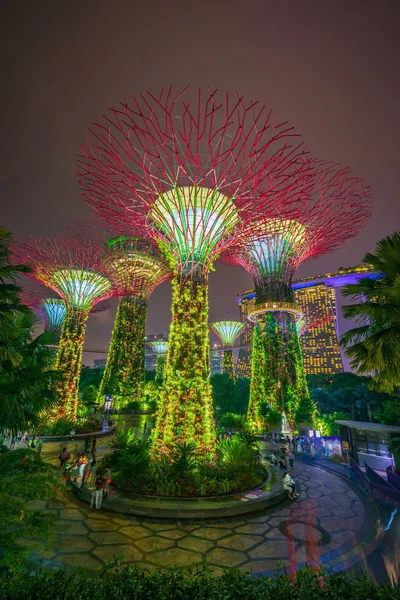 Jardins perto da baía em Singapura — Fotografia de Stock