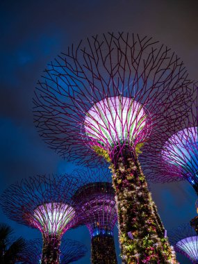 Singapur Körfezi 'ndeki Bahçeler
