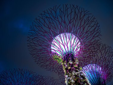 Singapur Körfezi 'ndeki Bahçeler