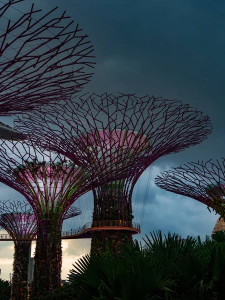 Jardins perto da baía em Singapura — Fotografia de Stock