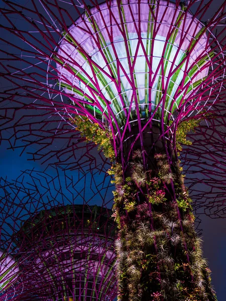 Singapur Körfezi 'ndeki Bahçeler