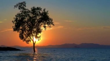 Krabi Tayland 'da Klong Muang plajında gün batımı