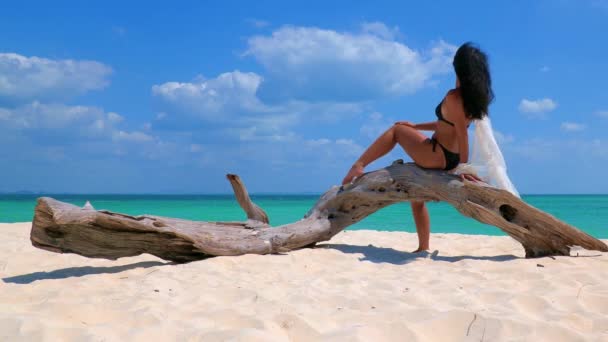 Tropik Sahilde Bir Ağaç Gövdesi Üzerinde Oturan Genç Kadın — Stok video