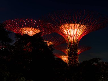 Singapur Körfezi 'ndeki Bahçeler