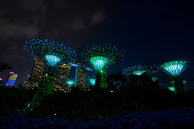 Singapur Körfezi 'ndeki Bahçeler